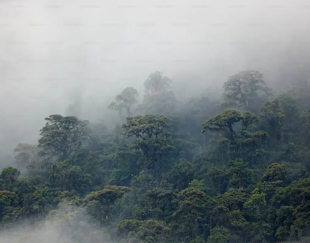 Bienvenido a la Amazonía